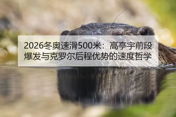 dong-ao-su-hua-mi-gao-ting-yu-qian-duan-bao-fa-yu-ke-luo-er-hou-cheng-you-shi-de-su-du-zhe-xue-2-494.jpg