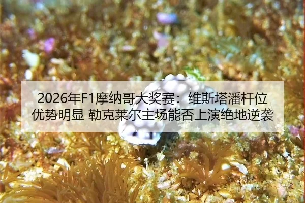 2026年F1摩纳哥大奖赛：维斯塔潘杆位优势明显 勒克莱尔主场能否上演绝地逆袭